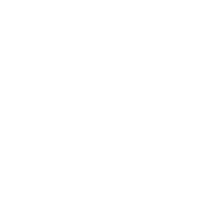 website_health_audit